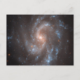 Spiral Galaxy Ngc 5584 Postcard