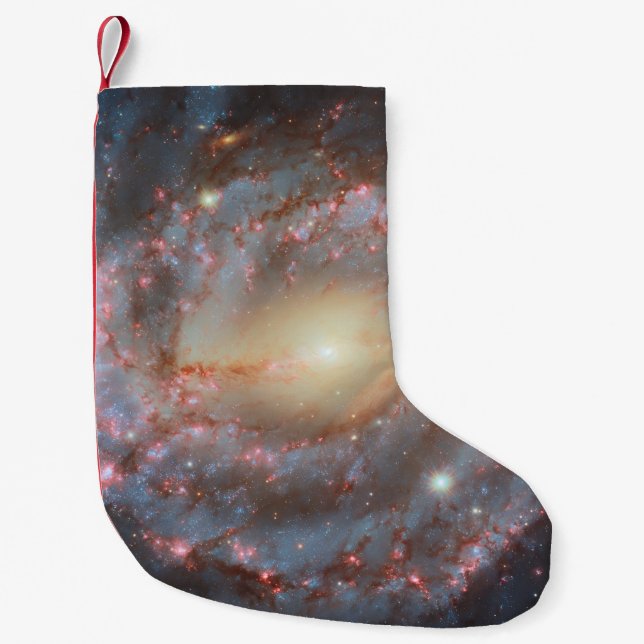 Spiral Galaxy Stocking (Front)