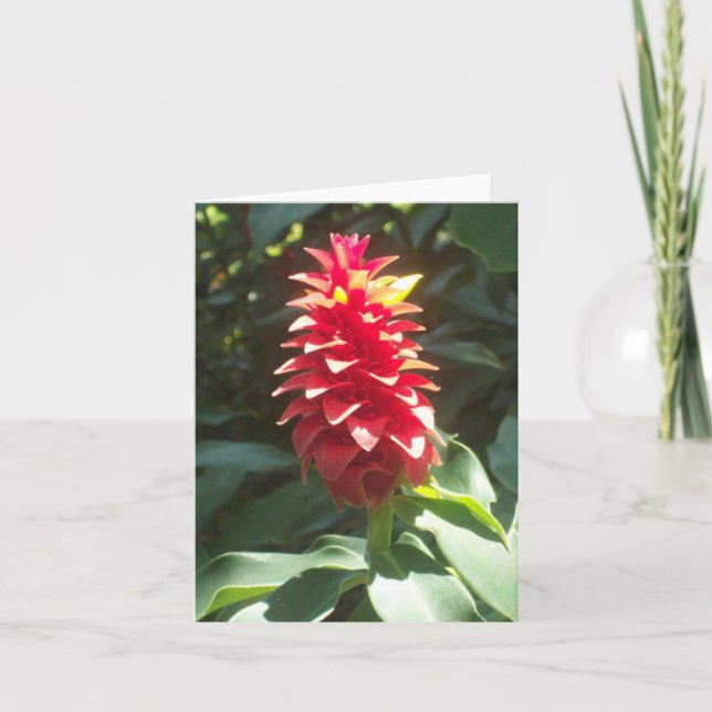Spiral Ginger Photo Folded Note Card (Front)