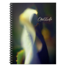 Spiral Gratitude Journal