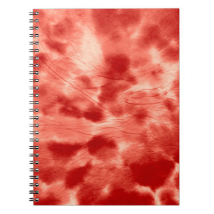 Spiral Kaleidoscope Psych Notebook