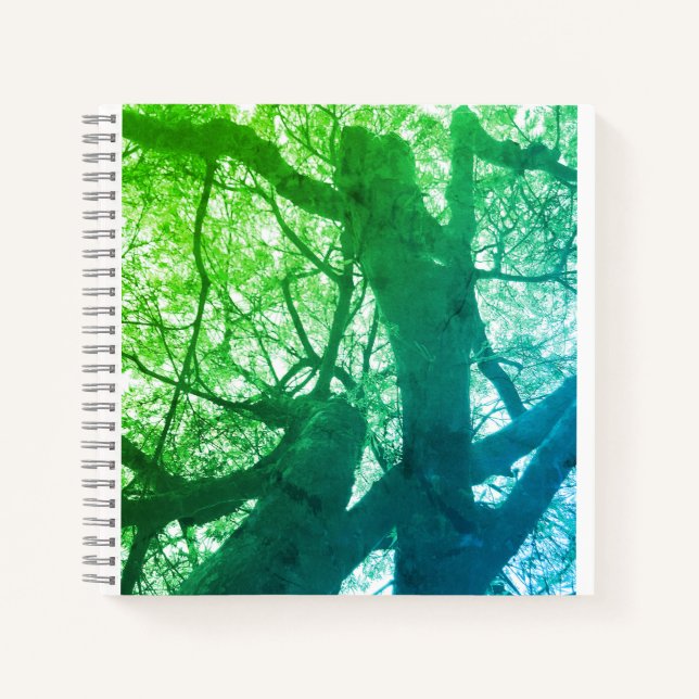 Spiral Notebook (Front)