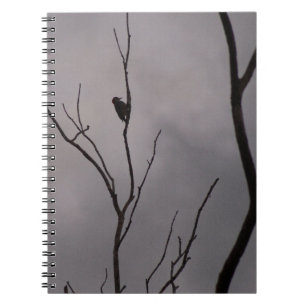Spiral Notebook, a lonely woodpecker on branch Notebook