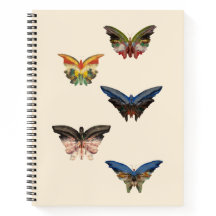 Spiral Notebook, Albert Bierstadt's Butterflies