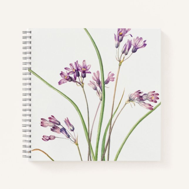 Spiral Notebook: Botanical Art Design (Hyacinth) N Notebook (Front)