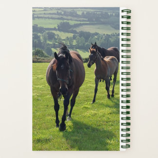 Spiral Notebook Farrier 