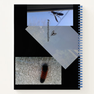 Spiral Notebook/INSECTS/MMETROPOLIM DESIGN Notebook
