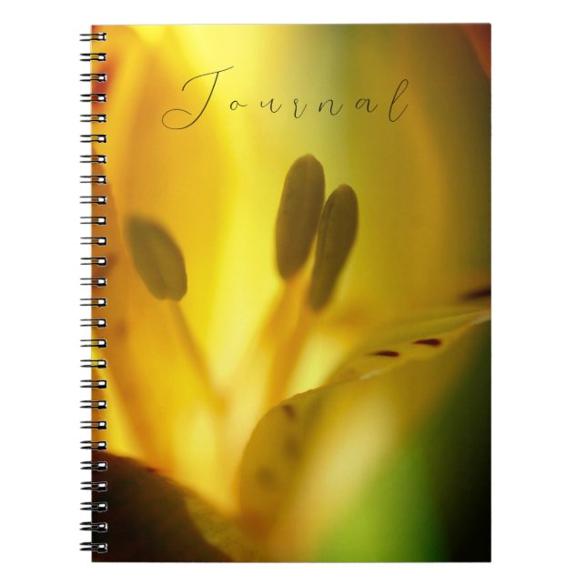 Spiral Notebook Journal (Front)