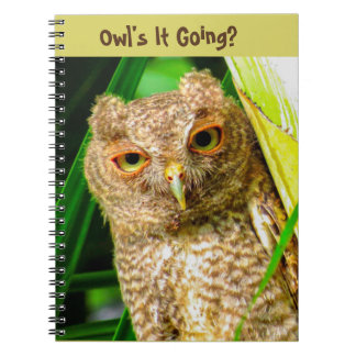 Spiral Notebook Owl's It Going