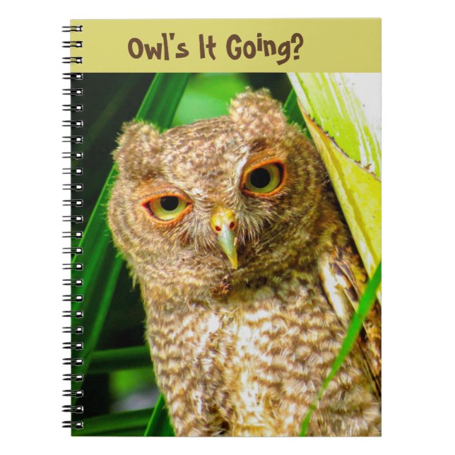 Spiral Notebook Owl's It Going (Front)