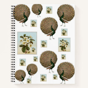 Spiral Notebook Peacock