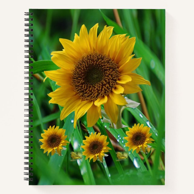 Spiral Notebook Sunflower (Front)