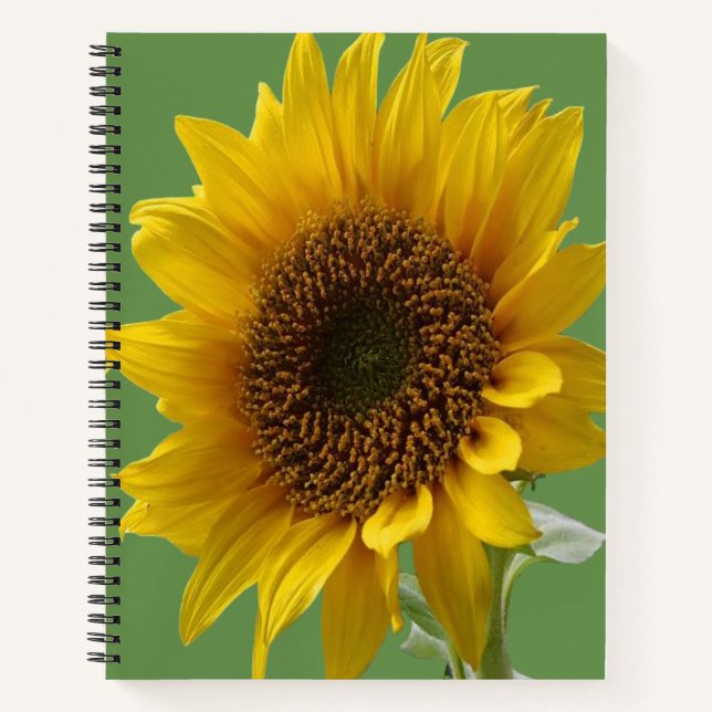 Spiral Notebook Sunflower (Front)