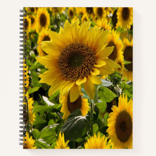 Spiral Notebook Sunflower