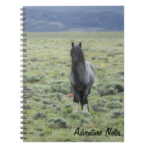 Spiral Notebook w/ wild Blue Zeus 