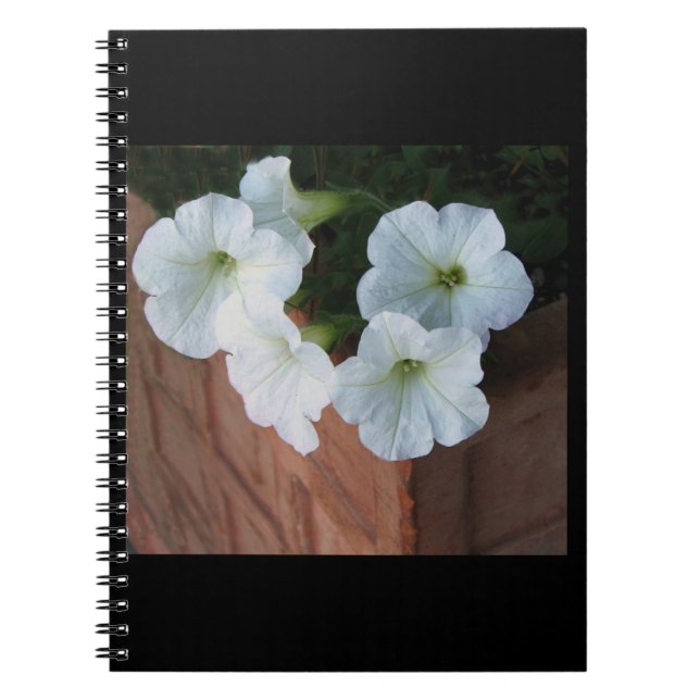 Spiral notebook with lovely white Petunias (Front)
