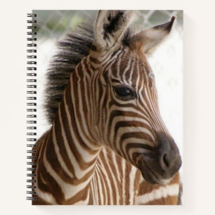 Spiral Notebook Zebra