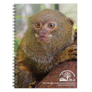 Spiral Photo Notebook