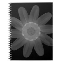 Spiral Photo Notebook