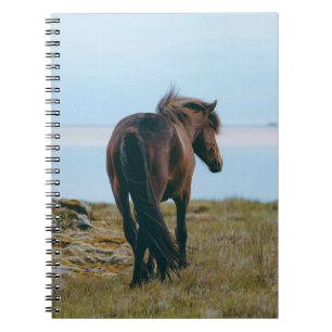 Spiral Photo Notebook - Scenic Horse