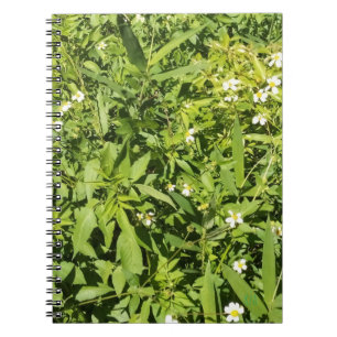 Spiral Photo Notebook with lush green floral field