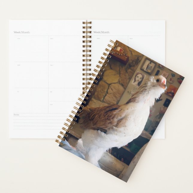 Spiral Planner Chicken on the Fireplace (Display)