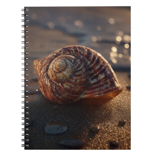 Spiral Seashell Golden Sand Notebook (Front)