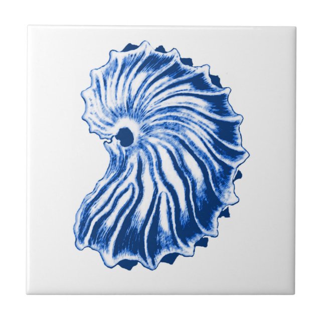 Spiral Shell, Indigo Blue and White Ceramic Tile (Front)