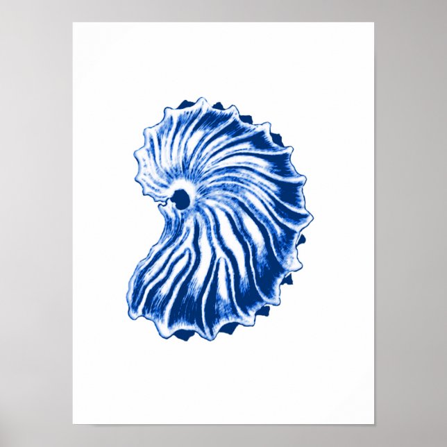 Spiral Shell, Indigo Blue and White Poster (Front)