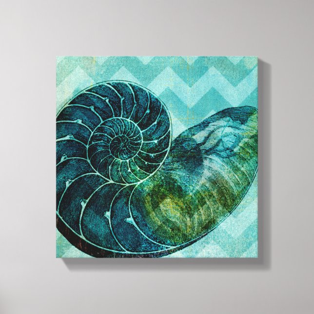 Spiral Turquoise Conch Shell Canvas Print (Front)