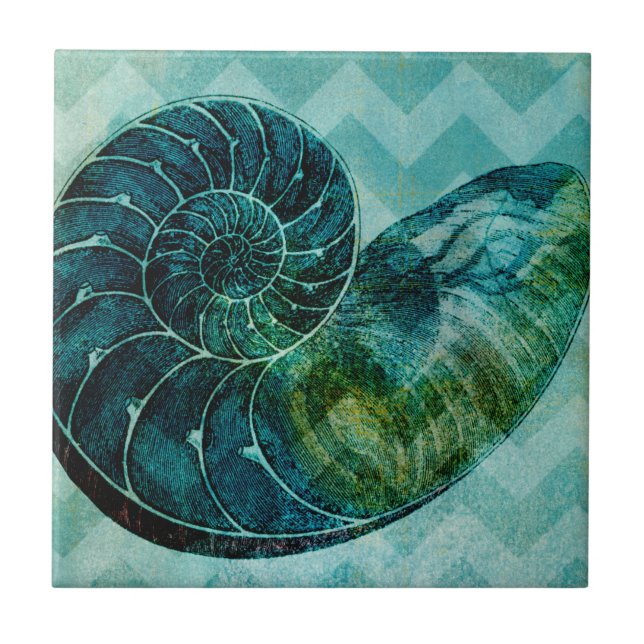 Spiral Turquoise Conch Shell Ceramic Tile (Front)