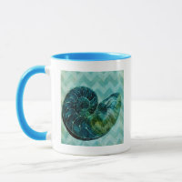 Spiral Turquoise Conch Shell