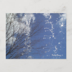 Spiralling Spring Postcard