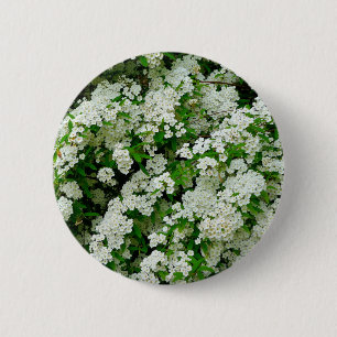 Spirea Arguta Badge