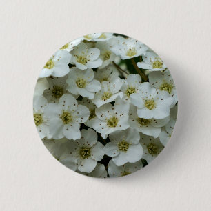 Spirea Arguta Badge