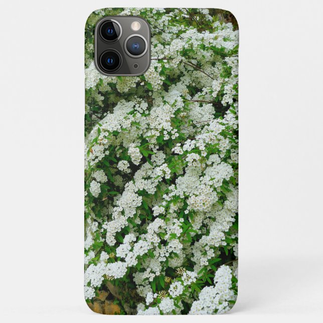 Spirea Arguta Case-Mate iPhone Case (Back)