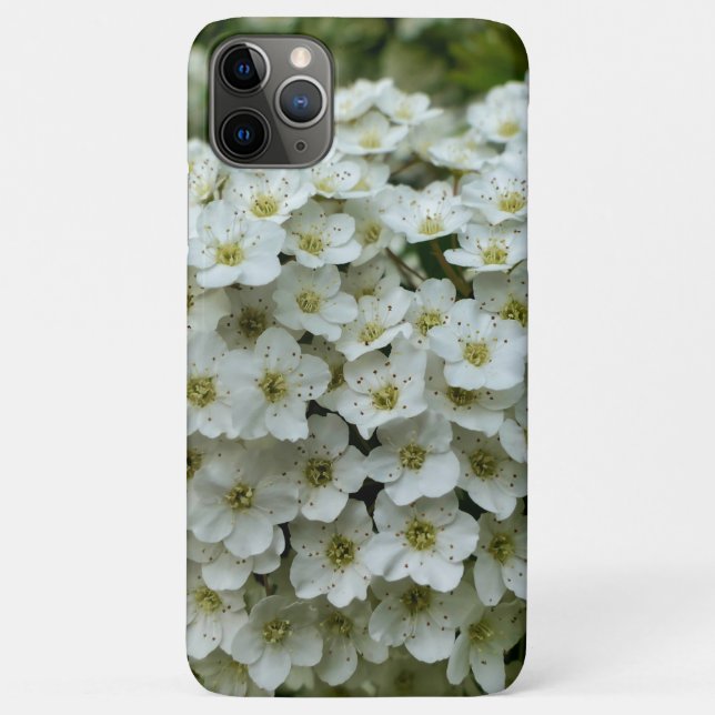 Spirea Arguta Case-Mate iPhone Case (Back)