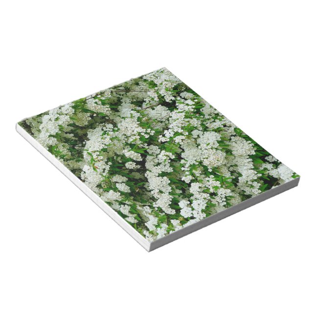 Spirea Arguta Notepad (Angled)