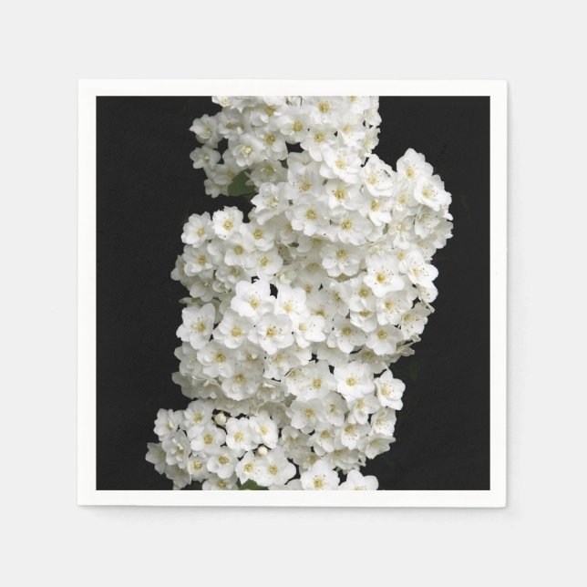 Spirea Arguta Paper Napkins (Front)