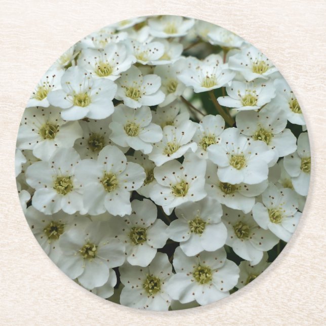 Spirea Arguta Round Paper Coaster (Front)
