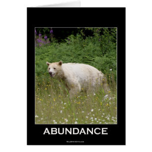 Spirit Bear Gifts