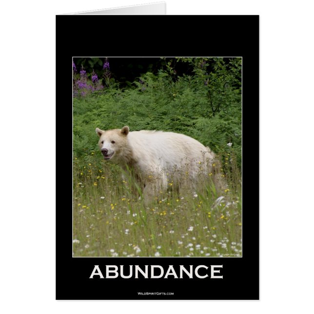 Spirit Bear Gifts (Front)