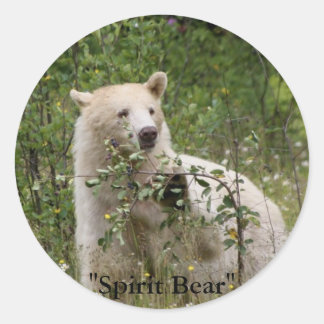"Spirit Bear" gifts Classic Round Sticker