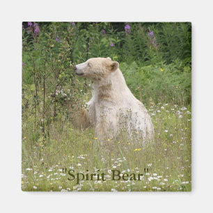 Spirit Bear Gifts Magnet