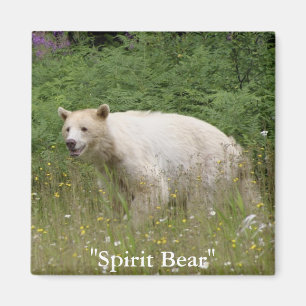 Spirit Bear Gifts Magnet