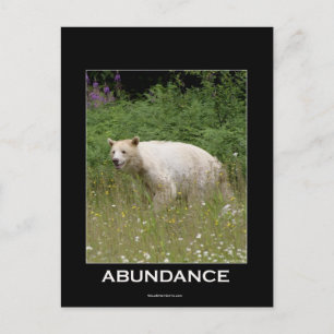 Spirit Bear Gifts Postcard