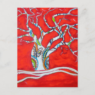 Spirit Boab Postcard