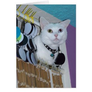 Spirit in the Forbidden Room card