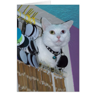 Spirit in the Forbidden Room card