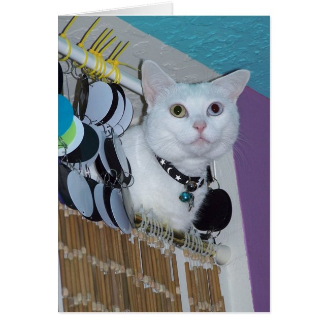 Spirit in the Forbidden Room card (Front)